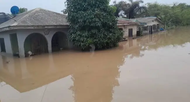 Many houses affected as downpour, flood hit Lagos