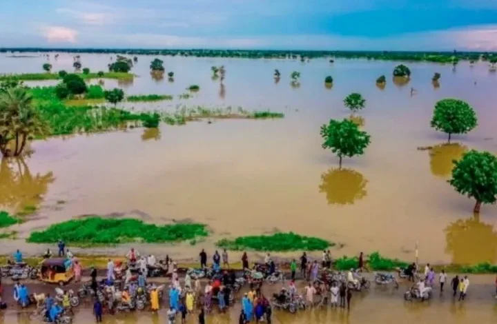 The Benue State government has heightened its alert signal in response to the impending flood expected to ravage the coastal areas of the state.