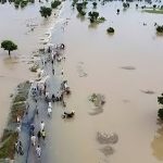 hdan borno flood