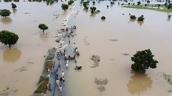 hdan borno flood